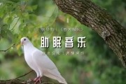 轻柔舒缓的歌曲中文歌曲