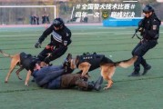 乌兹别克斯坦执法警犬专家国际公开赛落幕