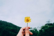 暴雨后东北人的坚韧与乐观