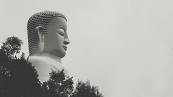 穿越田园，郁雨竹如何用智慧与艺术点亮平凡生活